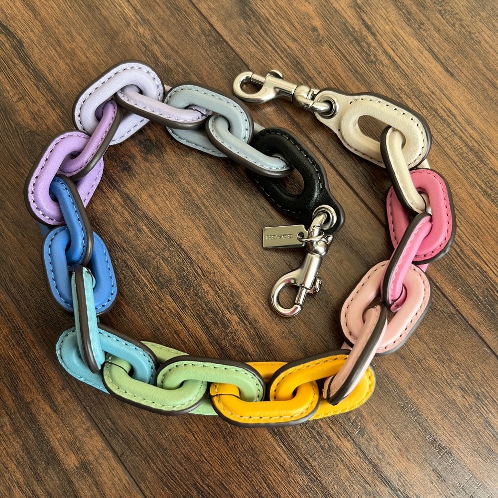 Coach Leather Chain Strap in Rainbow Pastels